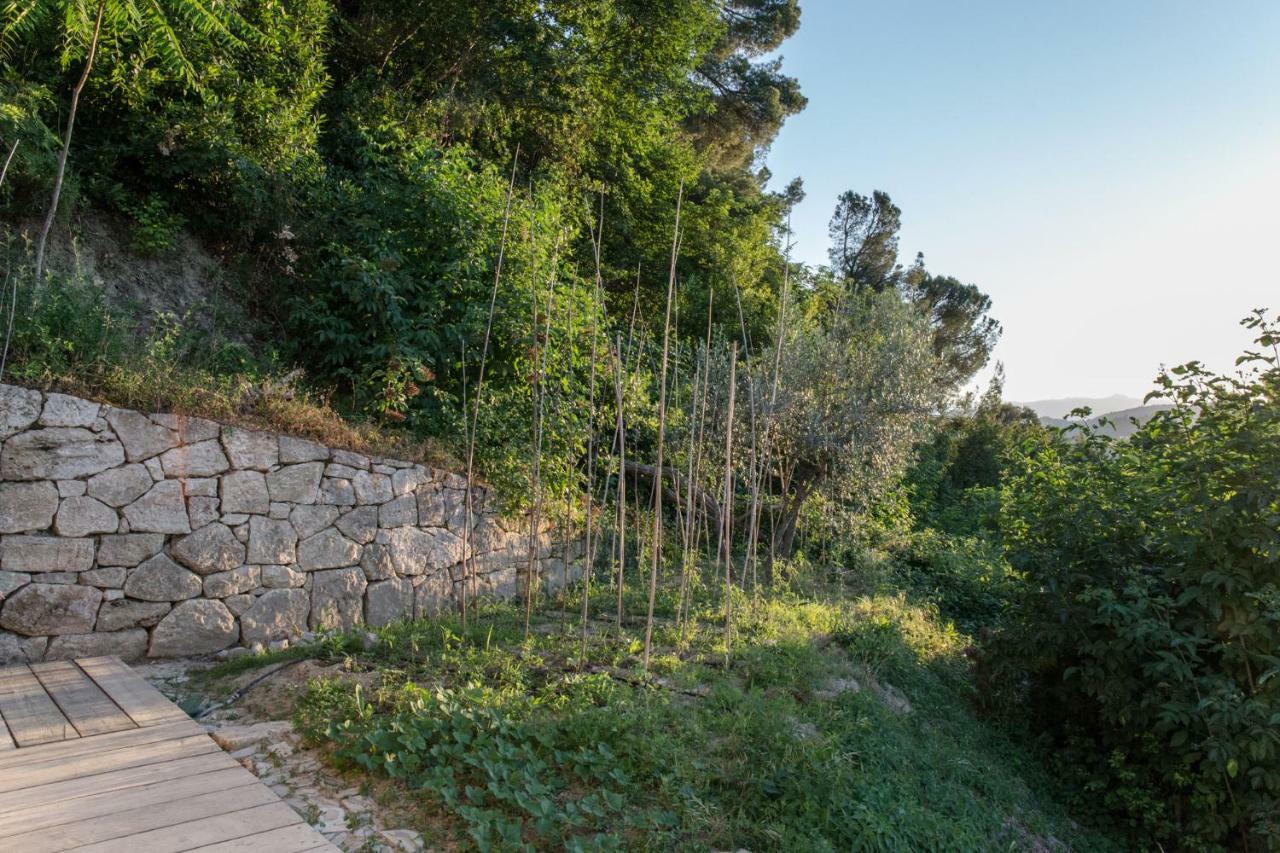 אסקולי פיצ'נו Villa Fortezza Antique Rooms מראה חיצוני תמונה